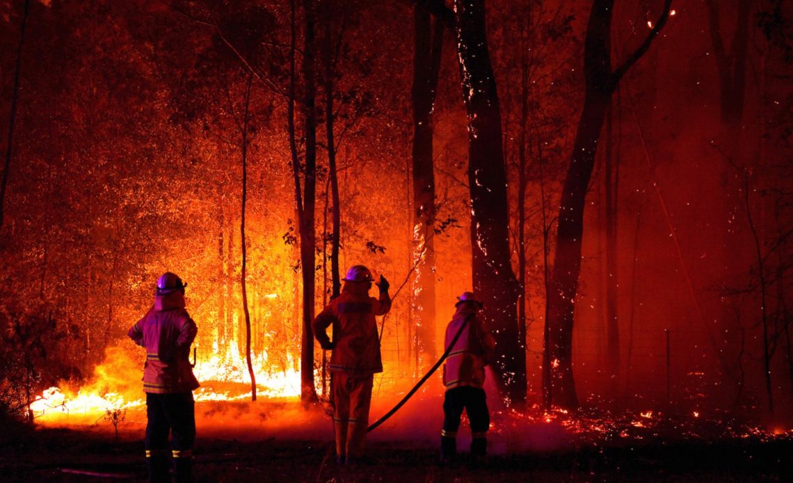 Cammelli Australia Incendi incendio abbattimento